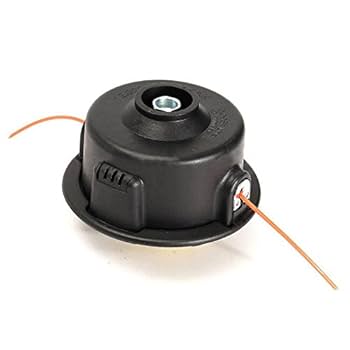 ストロートマン 61a1Vgsrj3L._UF350,350_QL50_.jpg